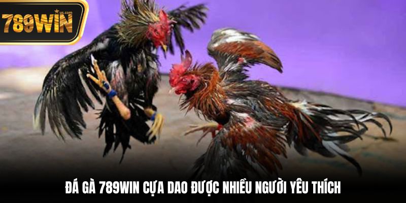 Đá Gà 789win - Nơi Hội Tụ Những Trận Đấu Chọi Kê Đỉnh 6 Đá gà 789win cựa dao được nhiều người yêu thích