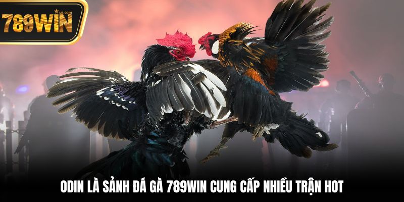 Đá Gà 789win - Nơi Hội Tụ Những Trận Đấu Chọi Kê Đỉnh 5 ODIN là sảnh đá gà 789win cung cấp nhiều trận hot